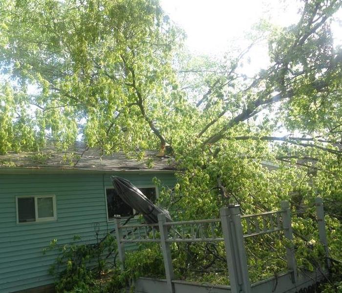 House with a tree on top of it following a storm
